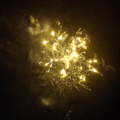 Naples Fireworks